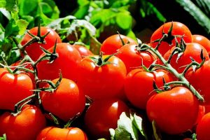 Leia mais sobre o artigo Humor Dá Receita: Molho de Tomate Caseiro