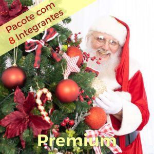 Parada do Noel – Pacote com 8 Integrantes – Premium